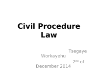 Civil Procedure Law- objectives and Principles-Slide.ppt
